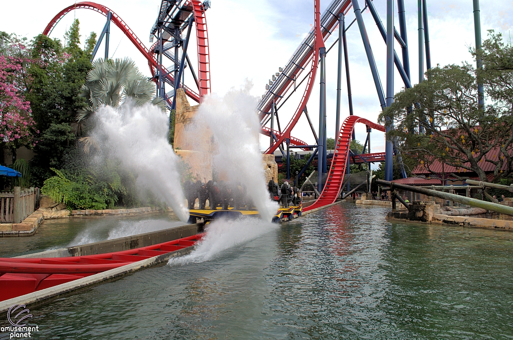 SheiKra