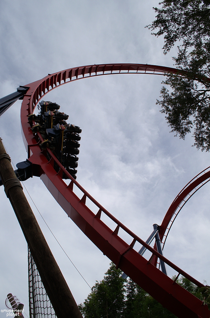 SheiKra