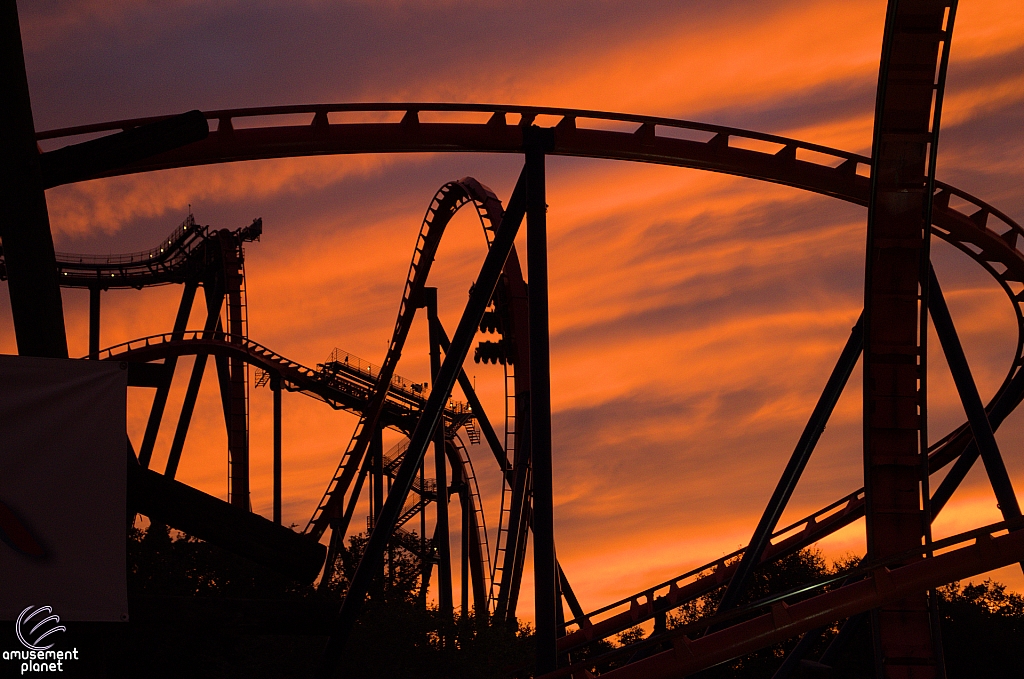 SheiKra