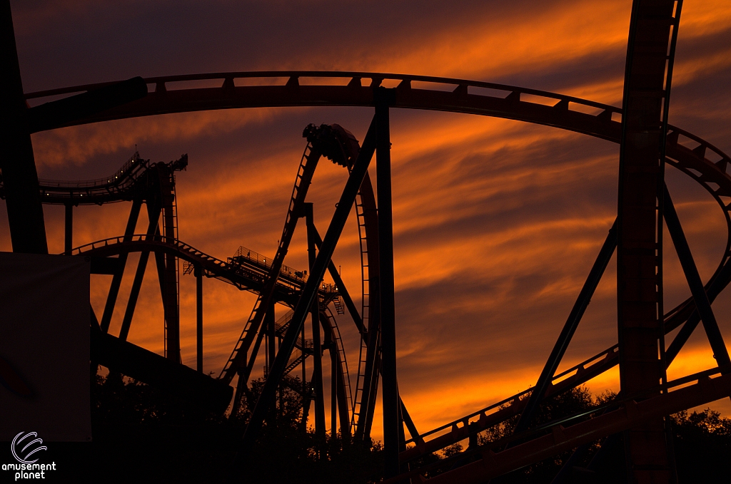 SheiKra