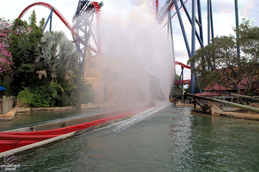 SheiKra