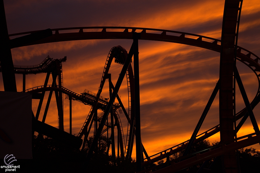 SheiKra