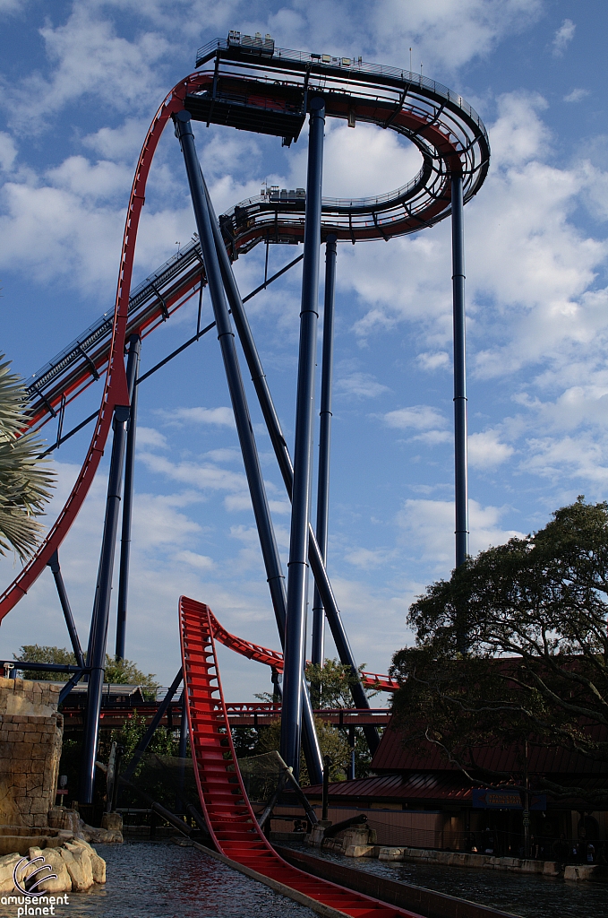 SheiKra