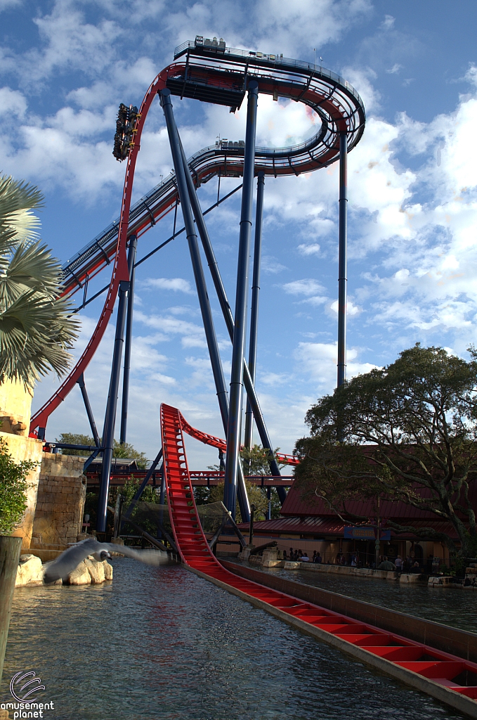 SheiKra