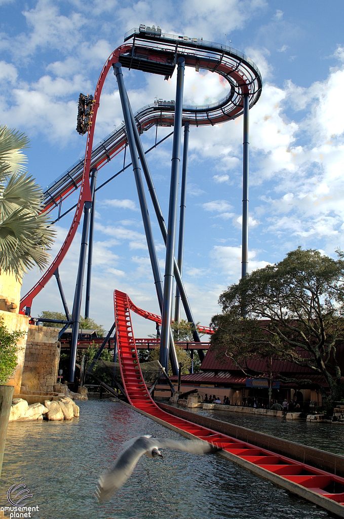 SheiKra