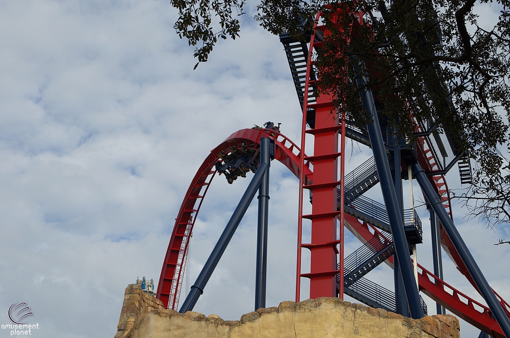 SheiKra