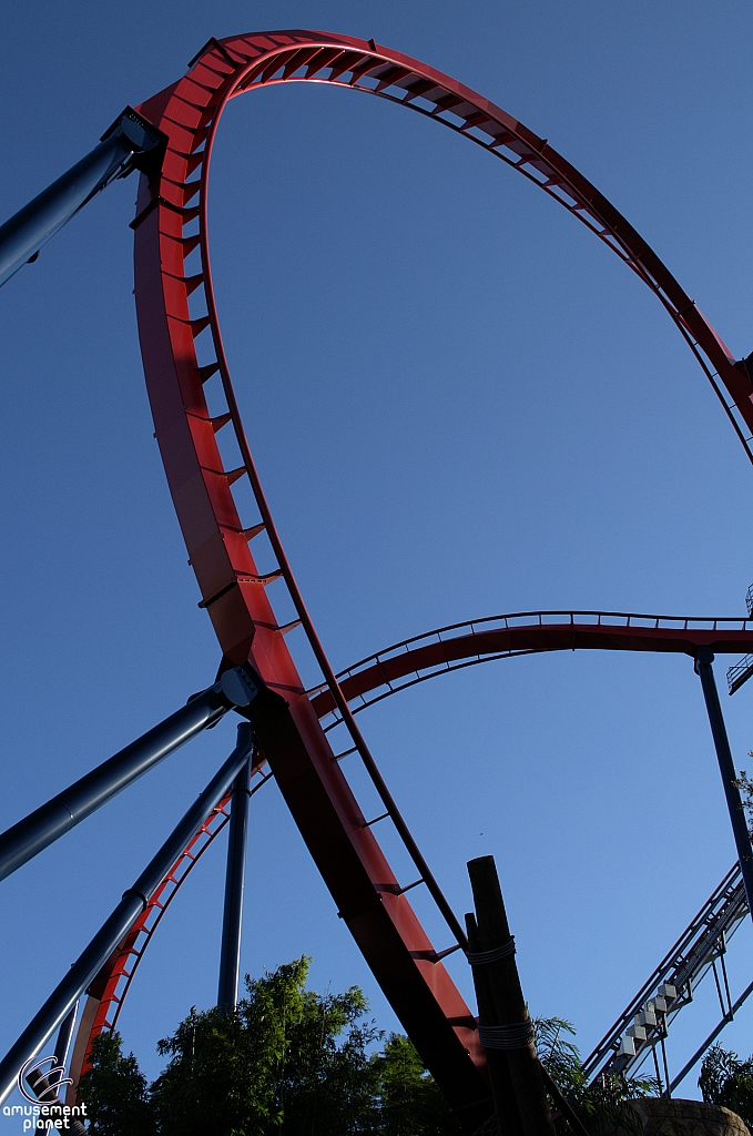 SheiKra