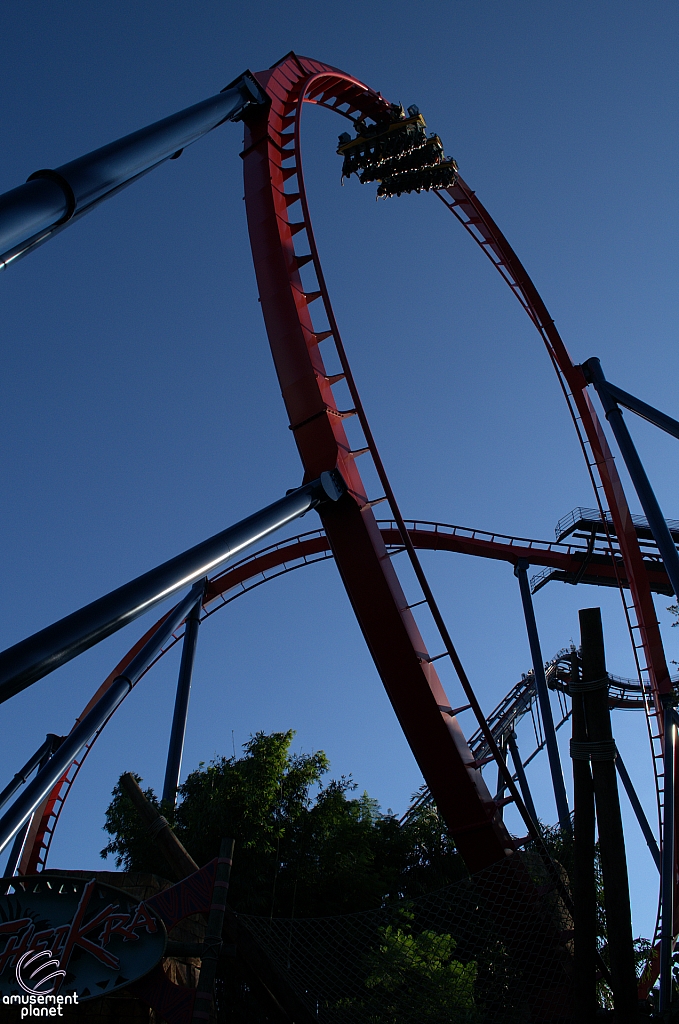 SheiKra