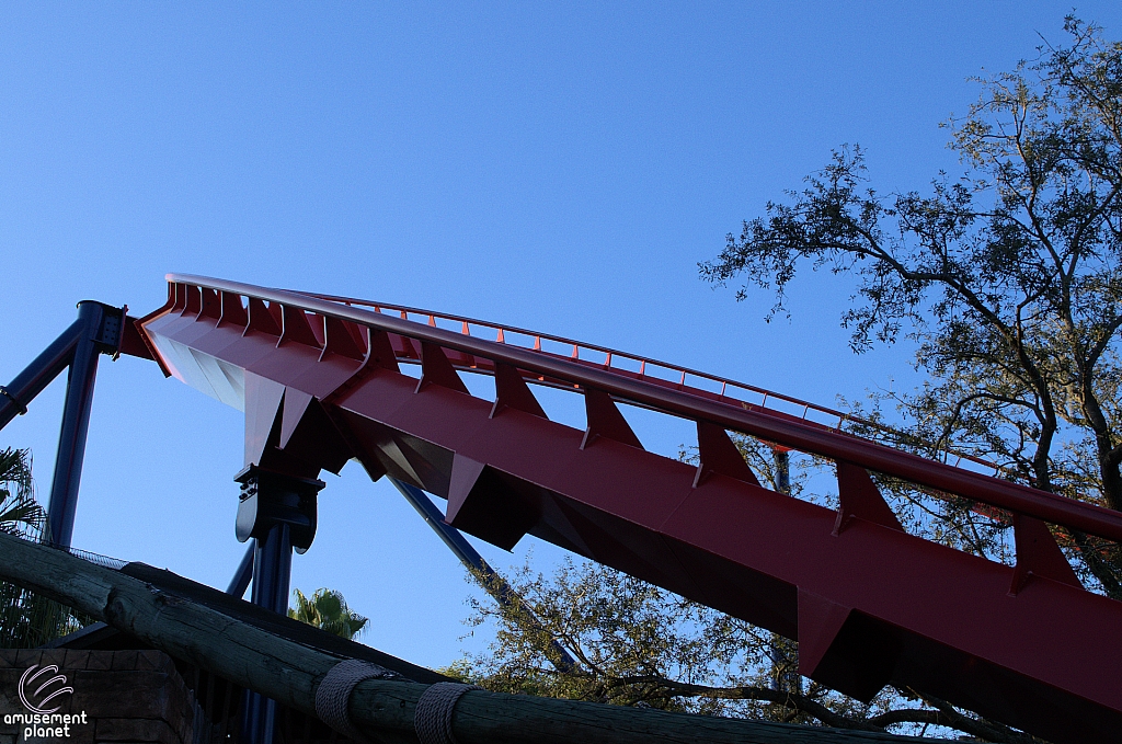 SheiKra