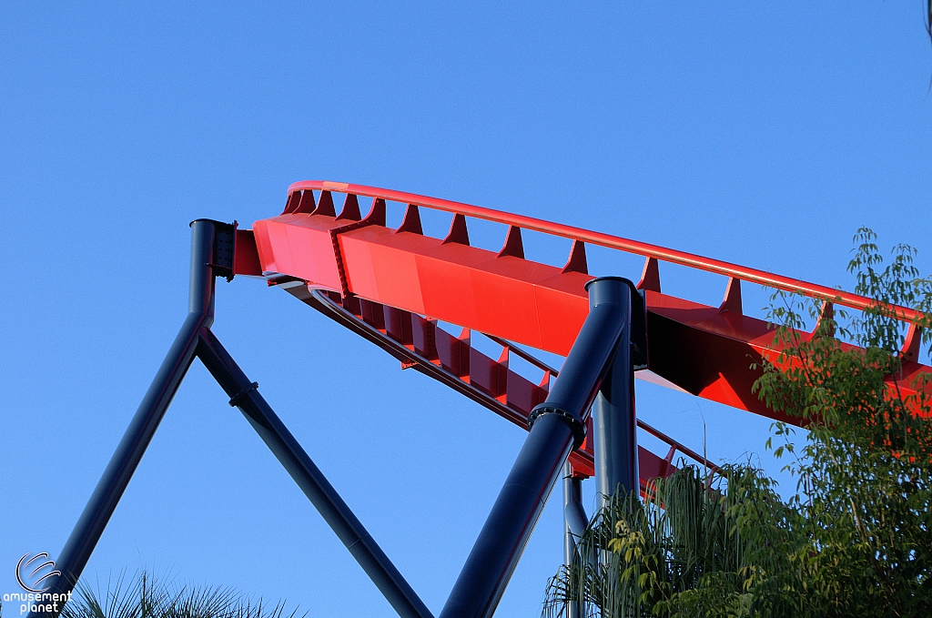 SheiKra