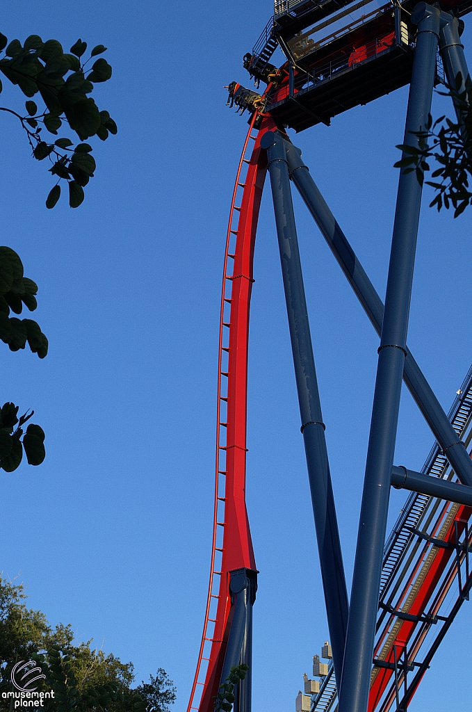 SheiKra