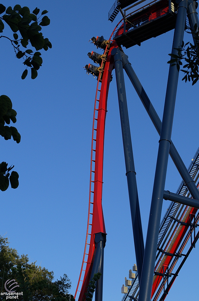 SheiKra