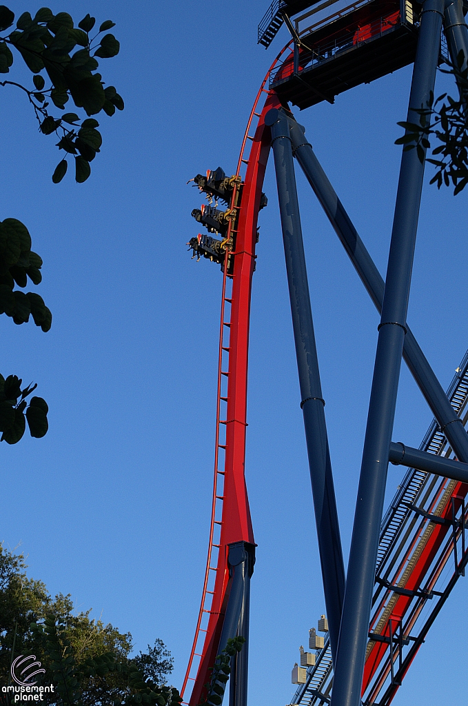 SheiKra