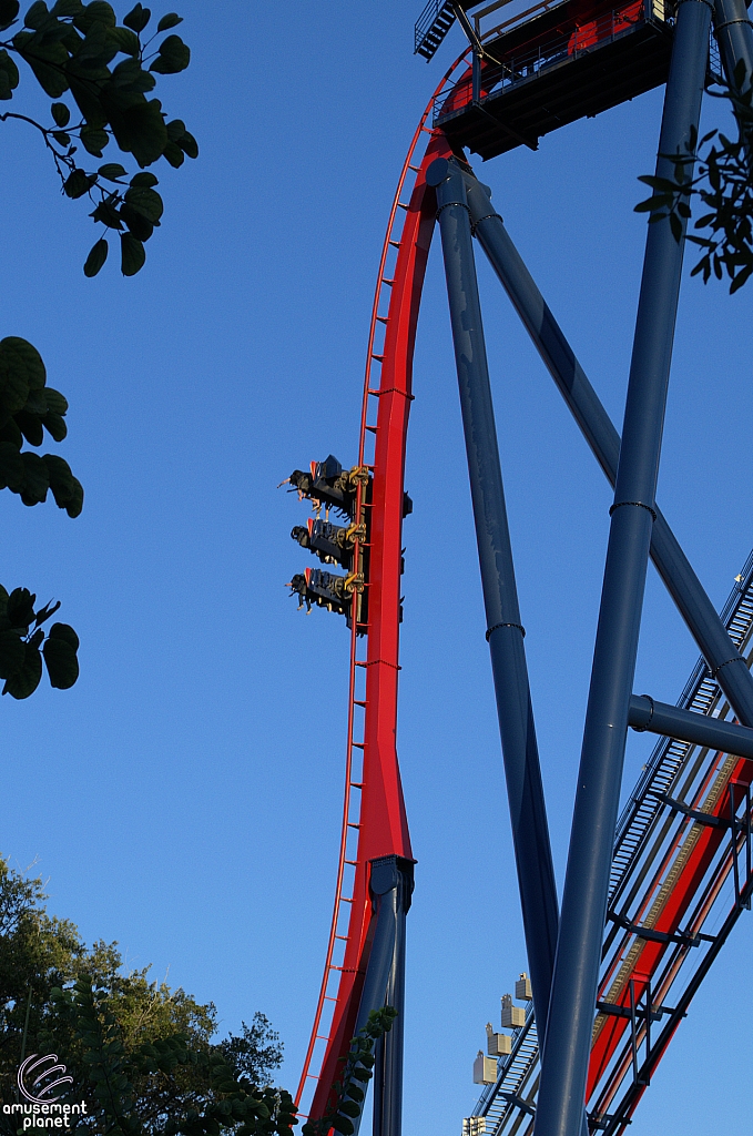 SheiKra