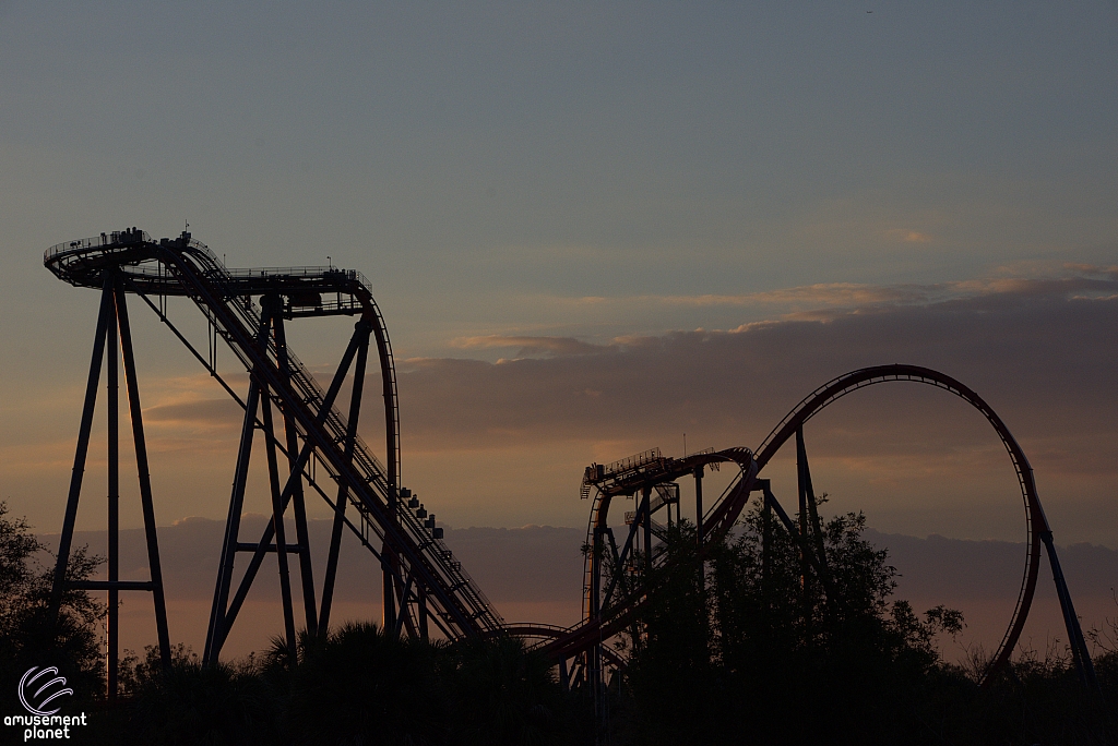 SheiKra