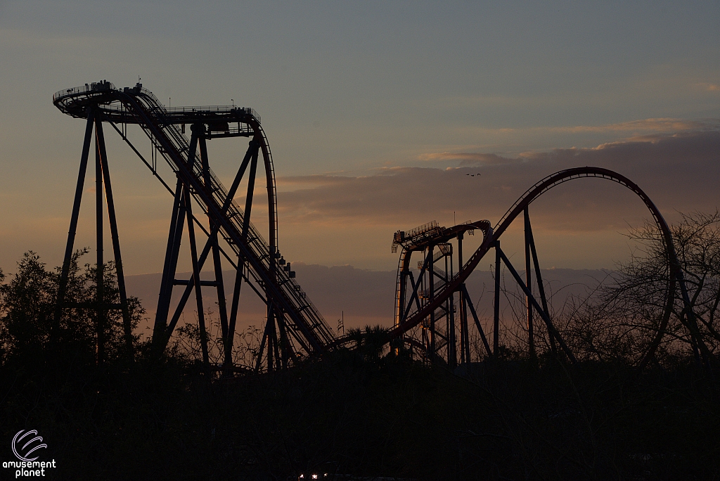 SheiKra