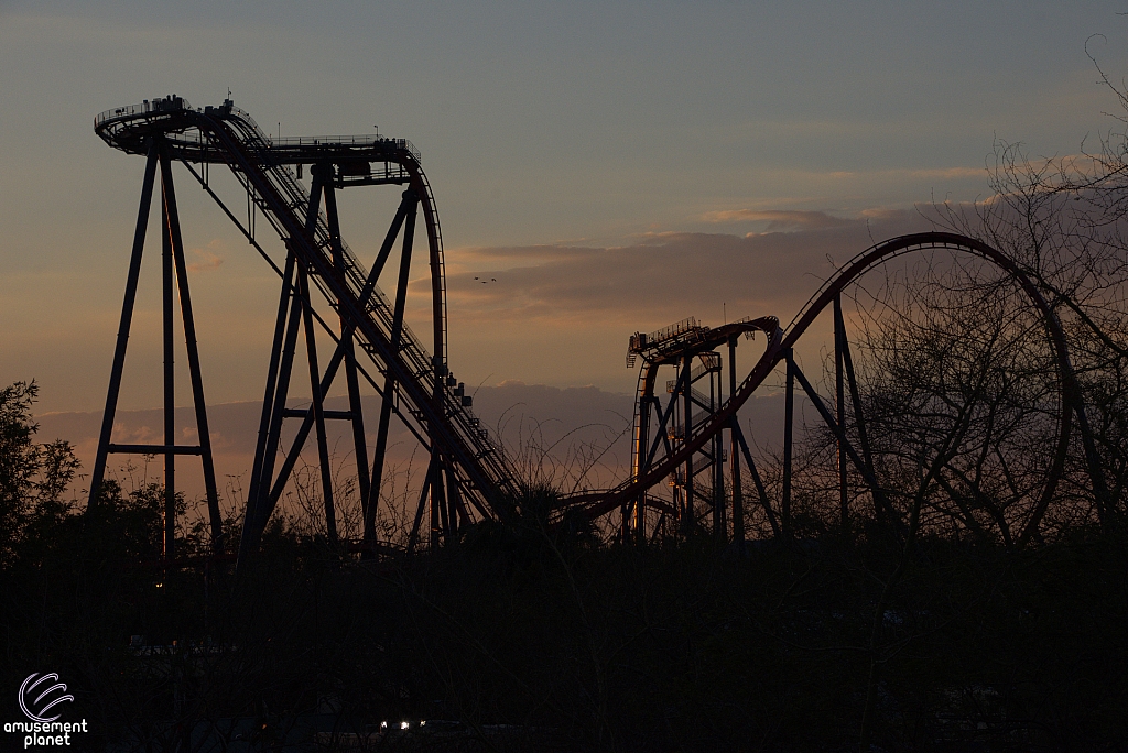 SheiKra