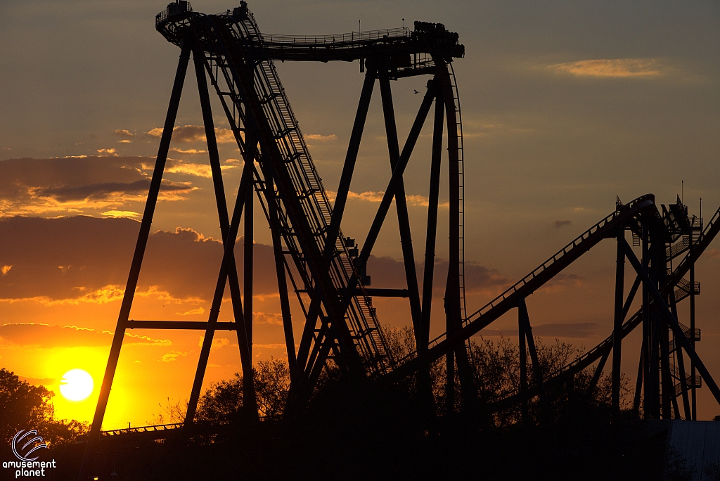 SheiKra