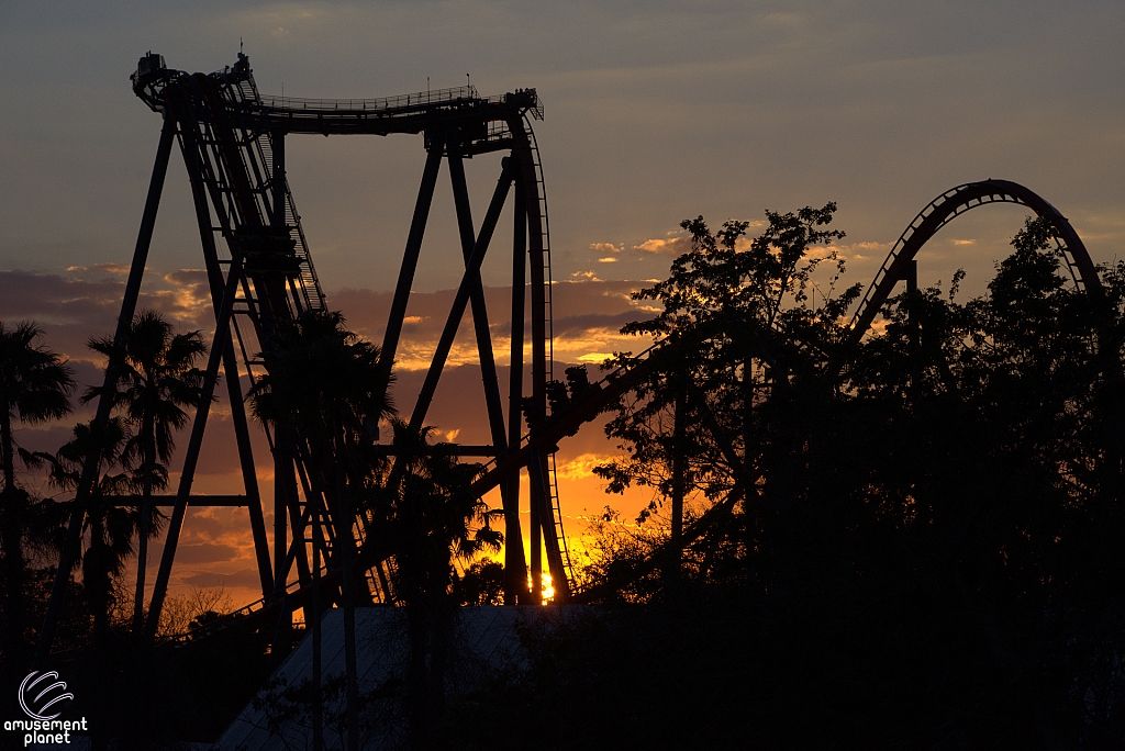 SheiKra