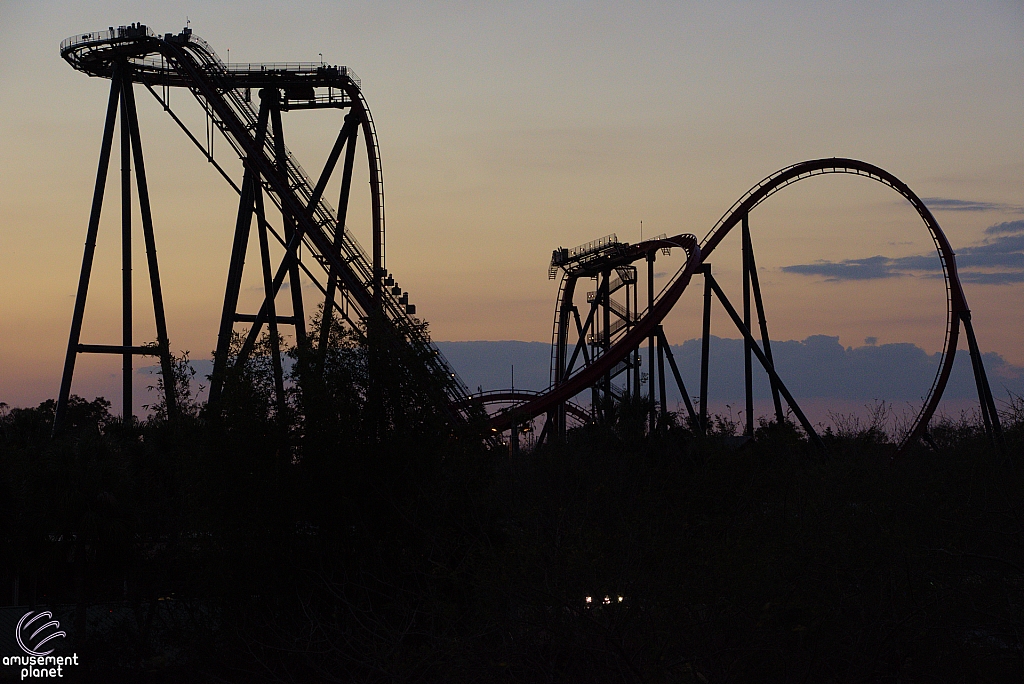 SheiKra