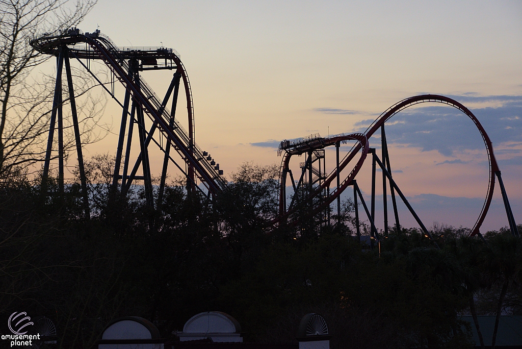 SheiKra