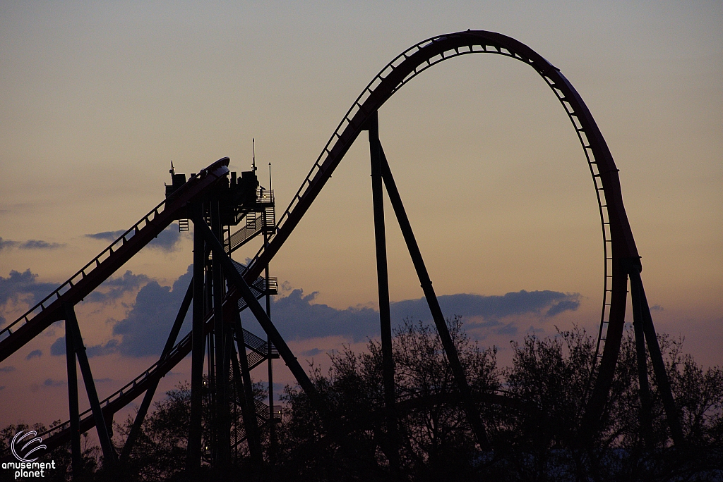 SheiKra