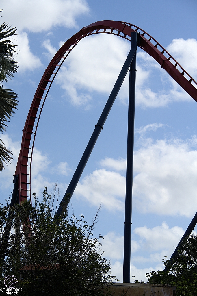 SheiKra