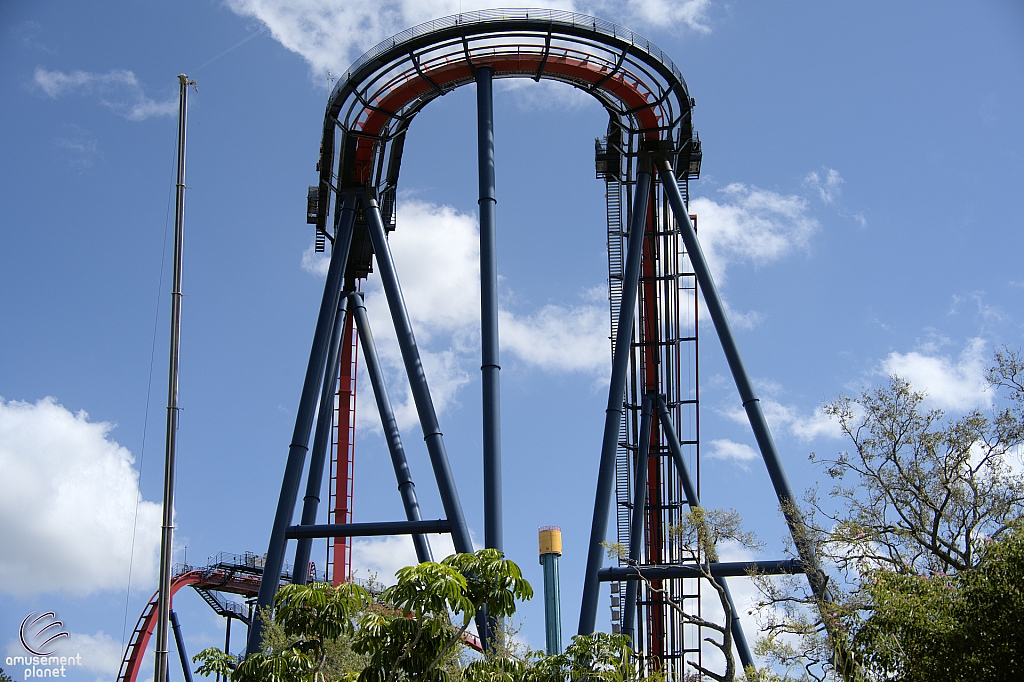 SheiKra