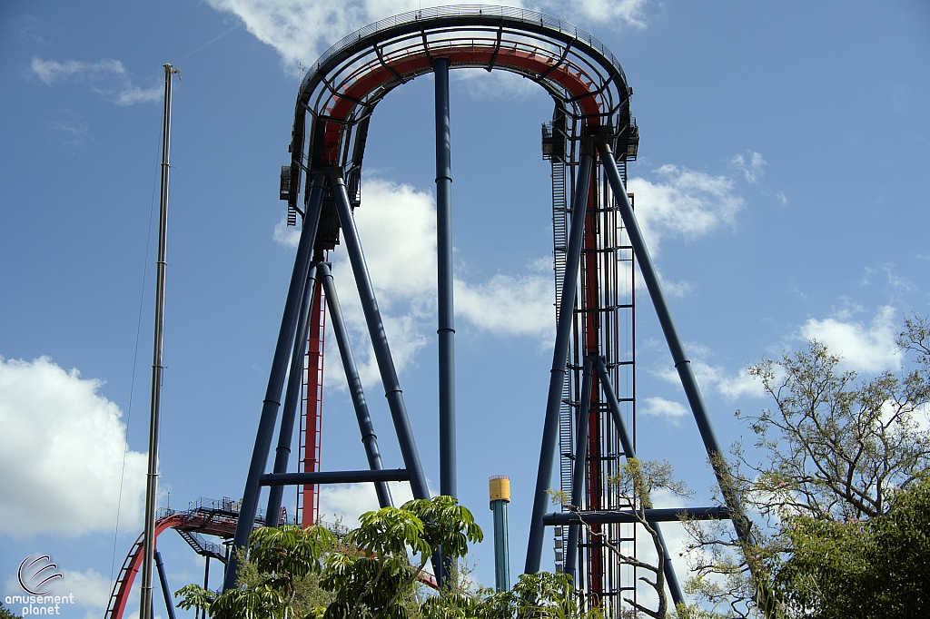 SheiKra