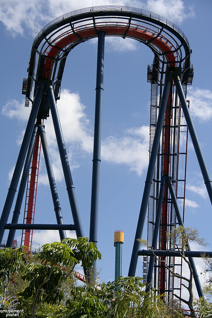 SheiKra