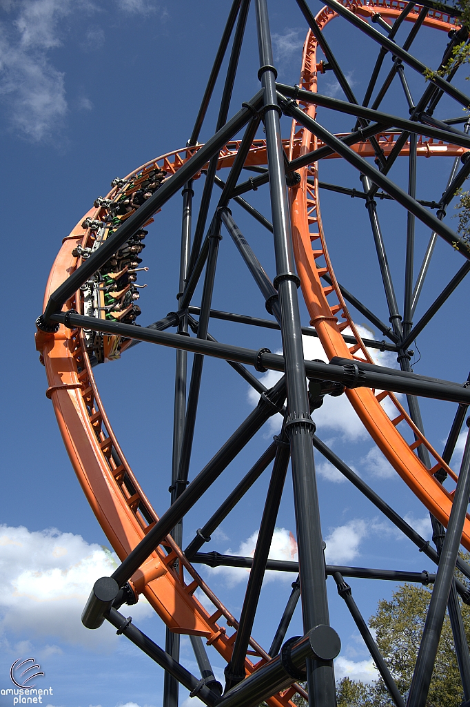 Tigris
