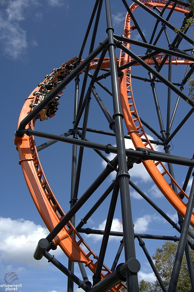 Tigris