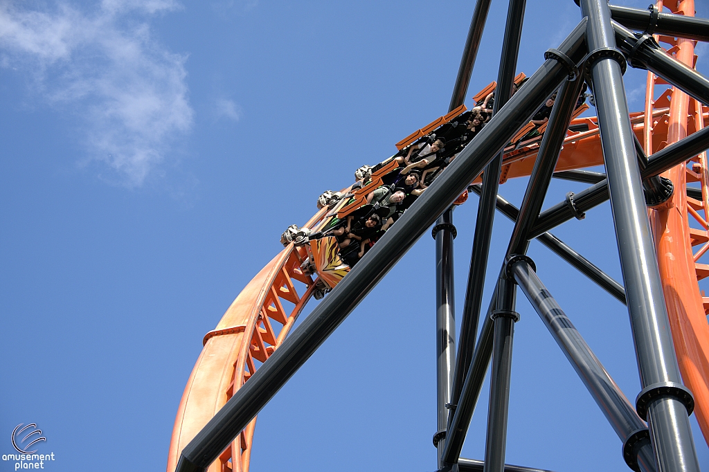 Tigris