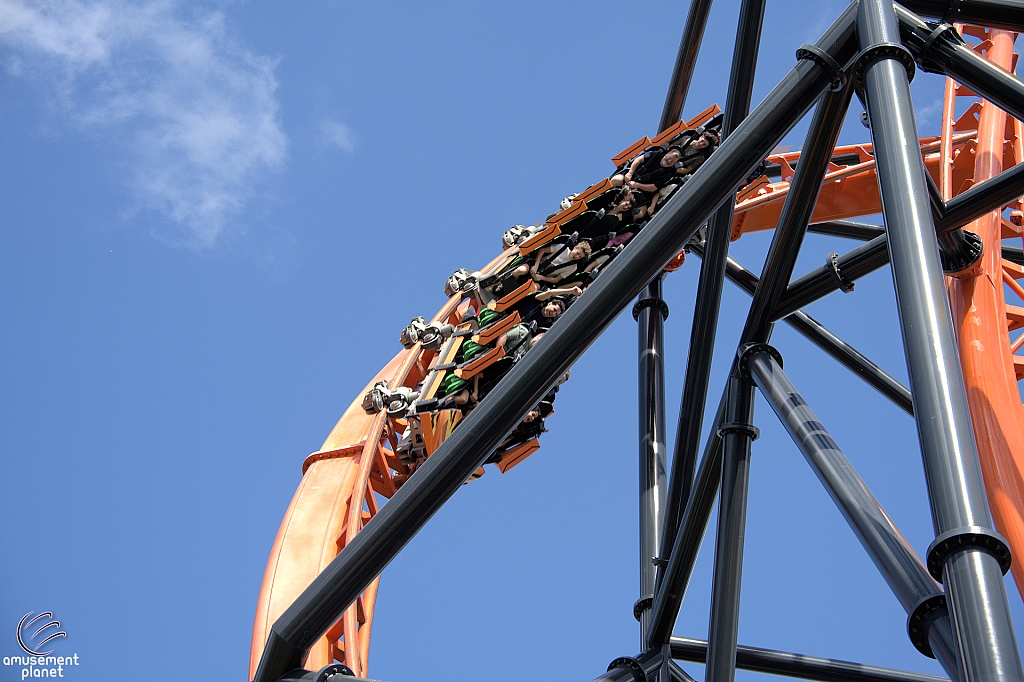Tigris