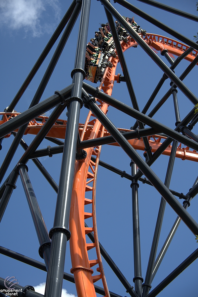 Tigris