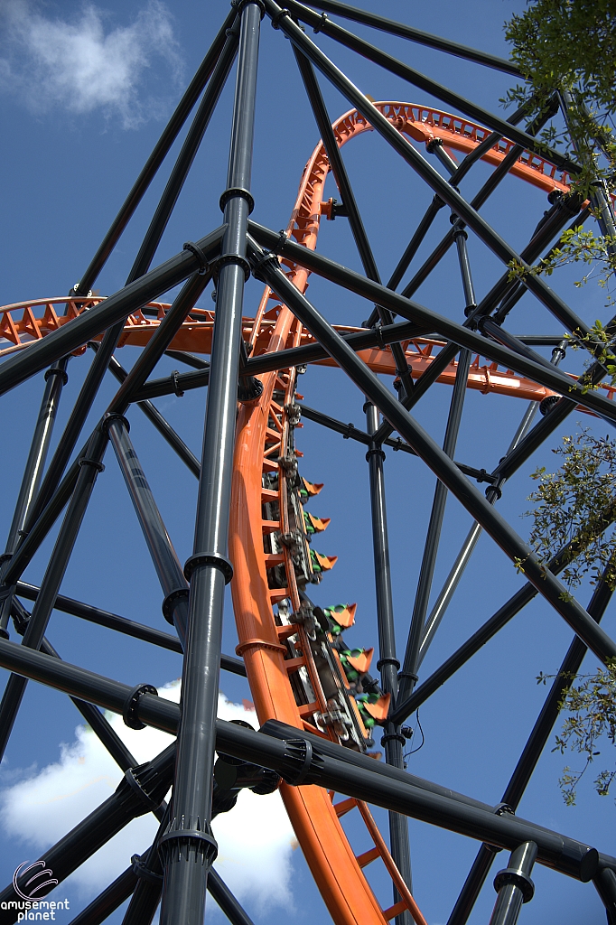 Tigris
