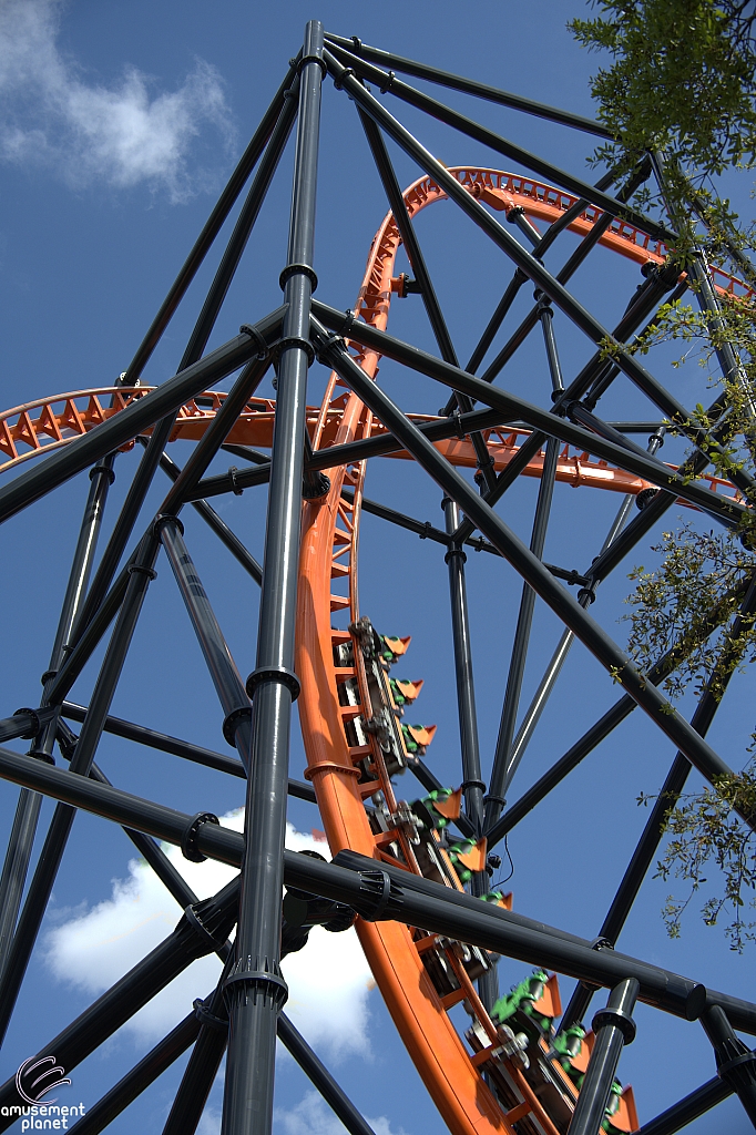 Tigris