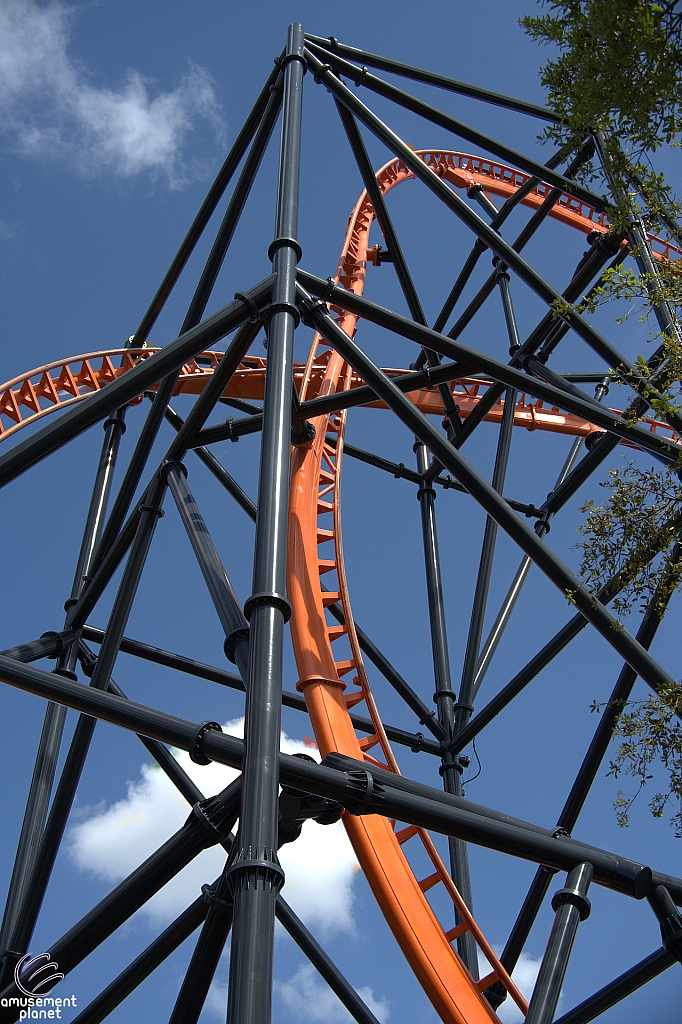 Tigris
