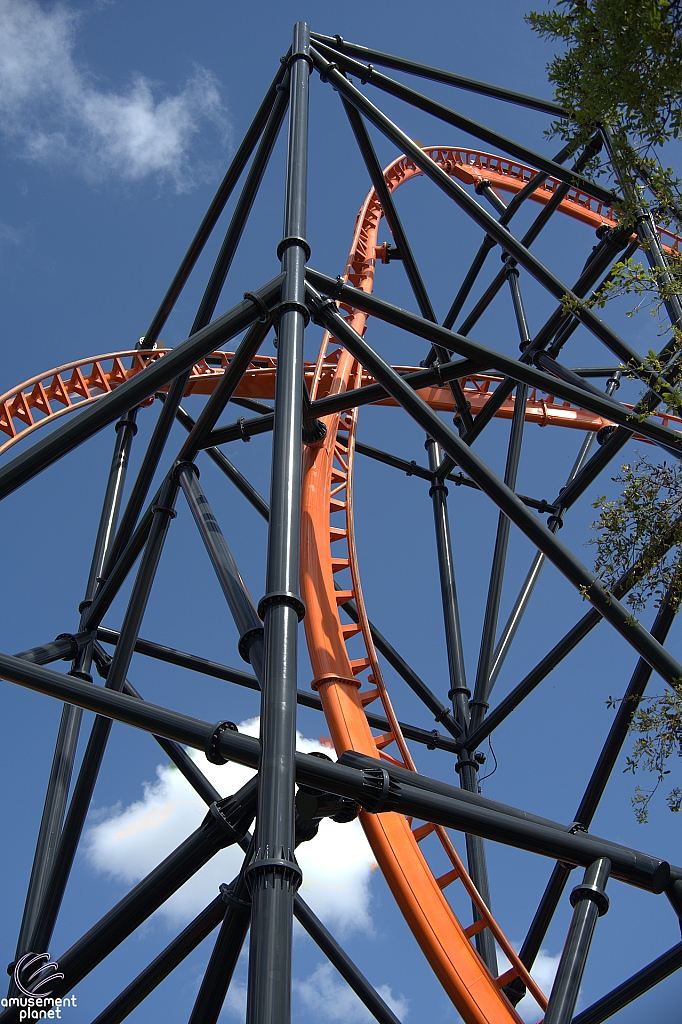Tigris