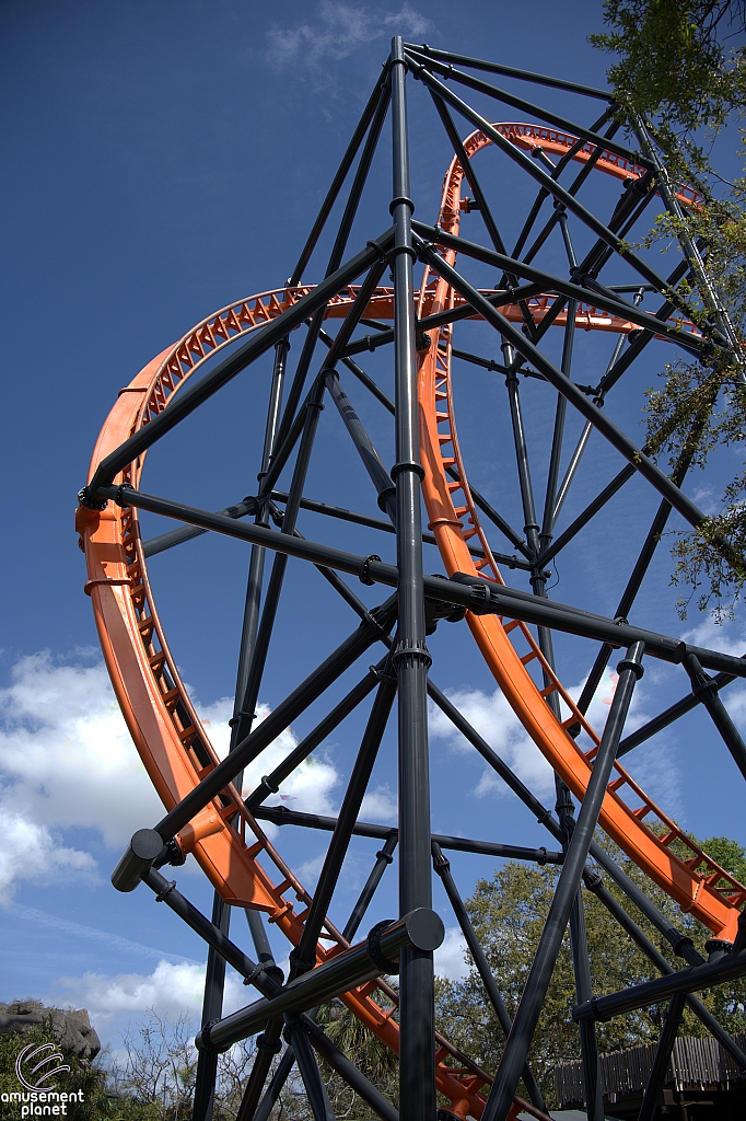 Tigris