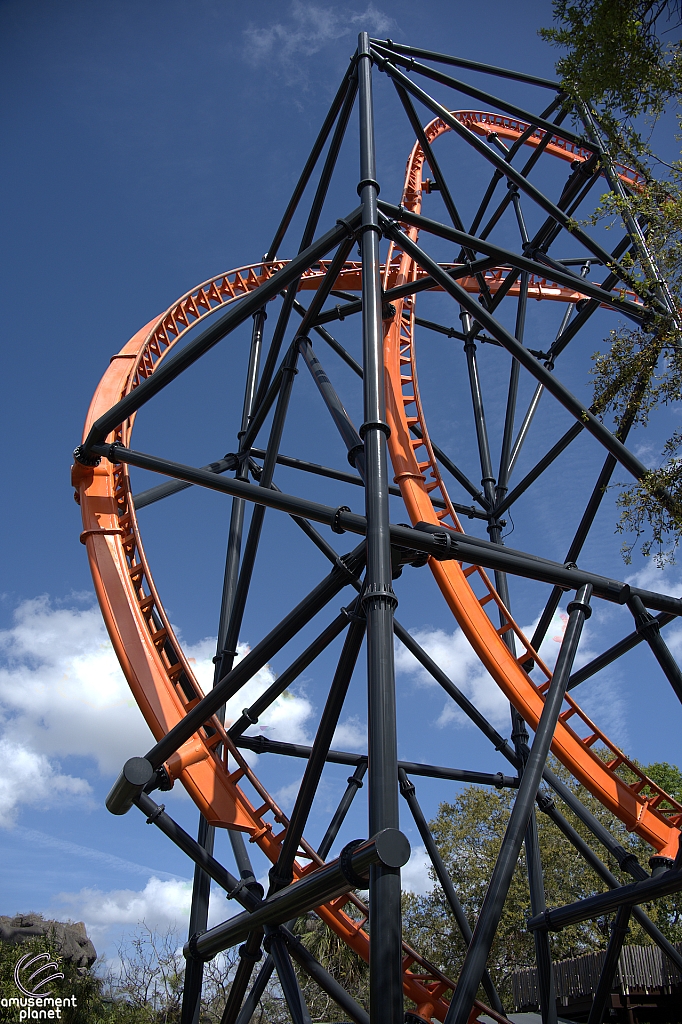 Tigris