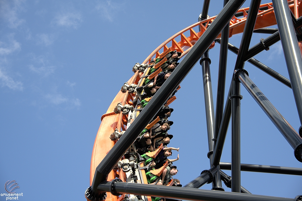 Tigris
