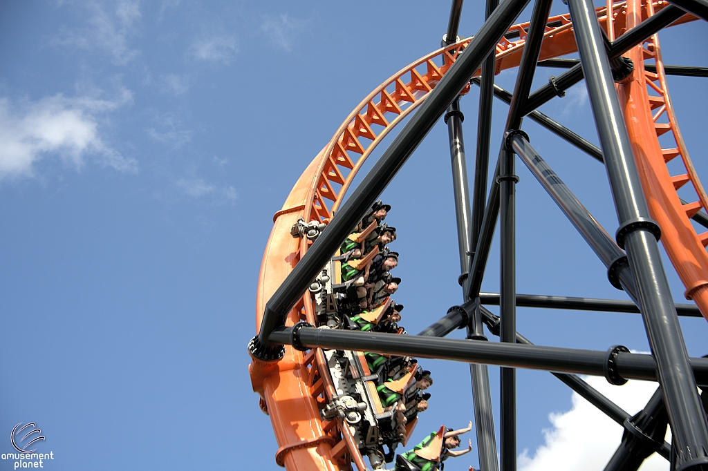 Tigris