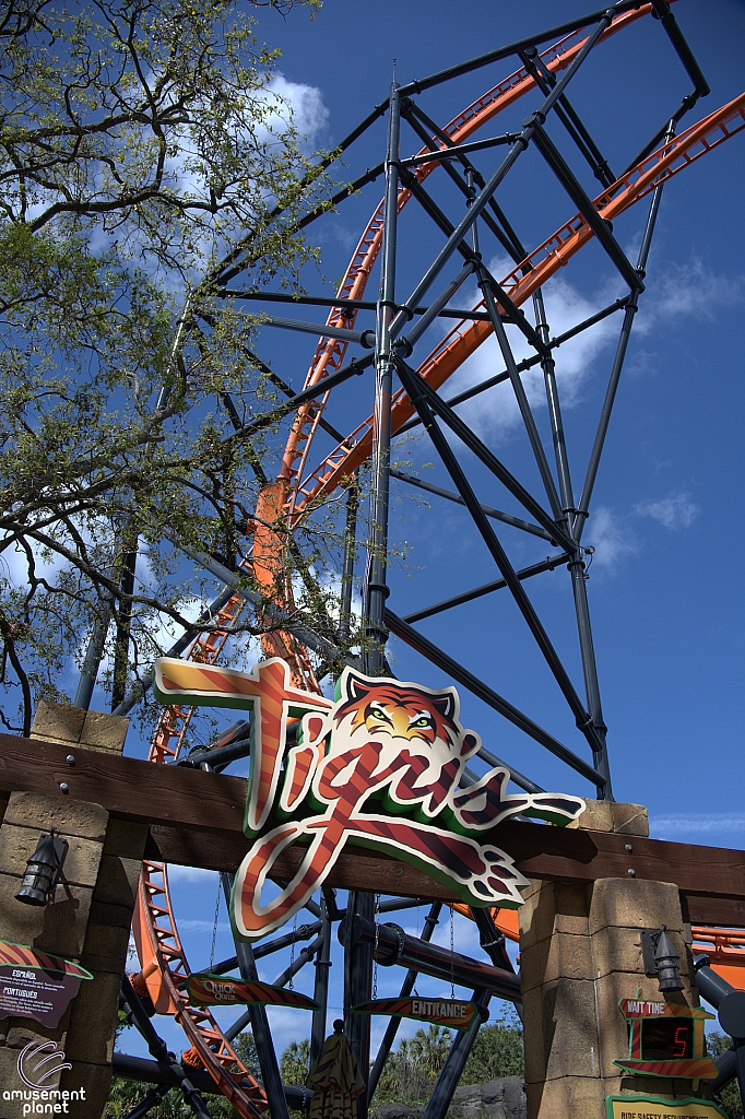 Tigris