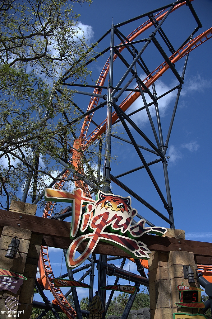 Tigris