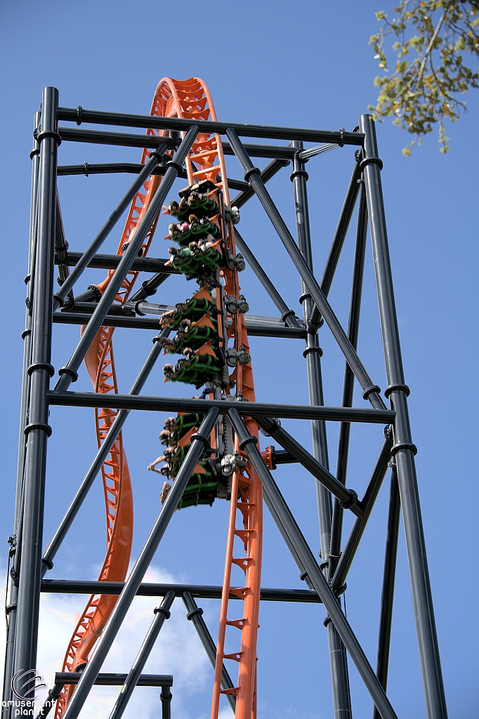 Tigris