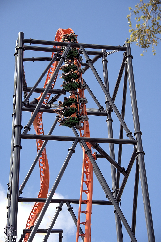 Tigris