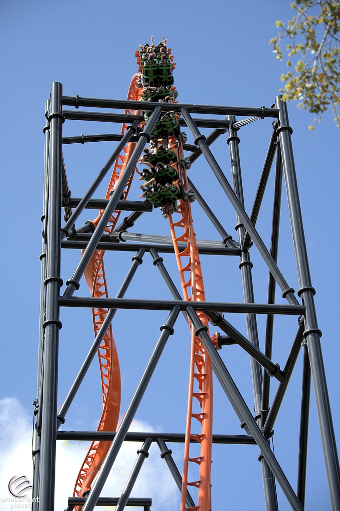 Tigris