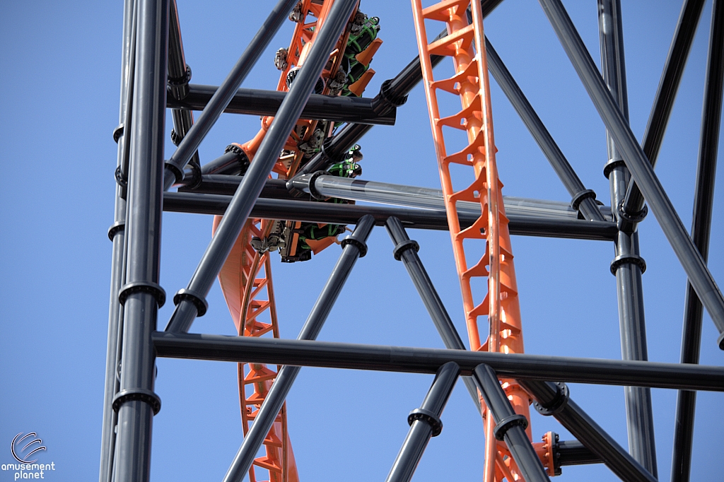 Tigris