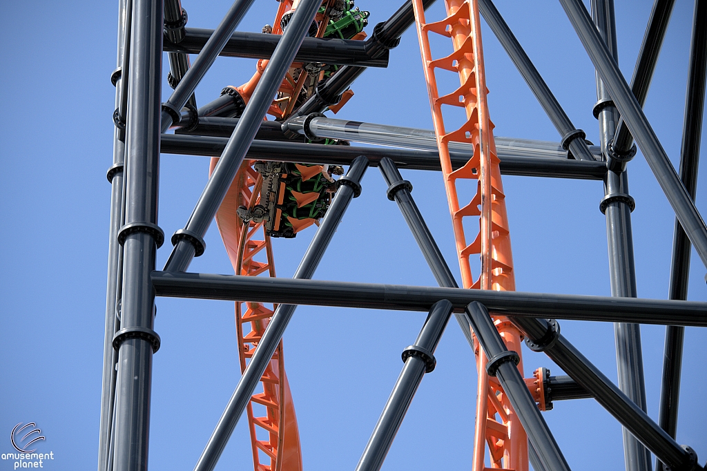 Tigris